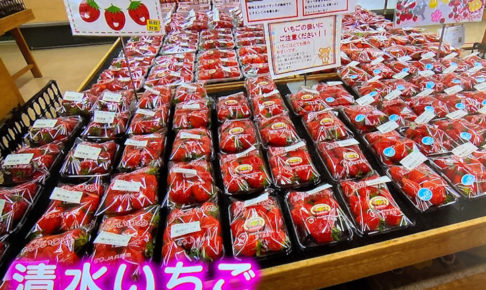 情報スタジアム 4時!キャッチ