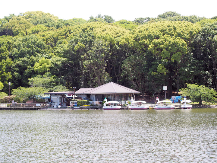 明石公園・ボート乗り場の営業が5月25日から再開
