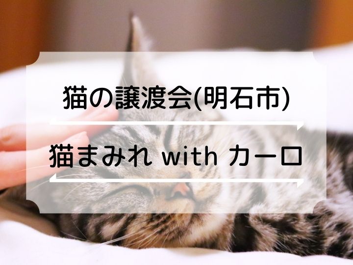 猫まみれ with カーロ