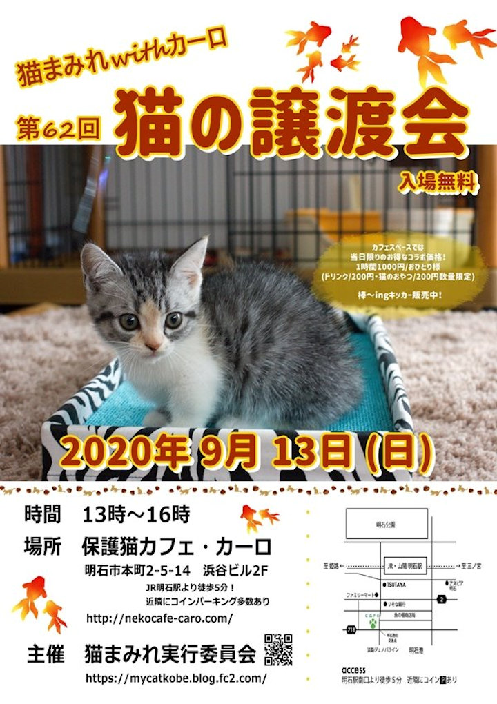 保護猫カフェ カーロ で猫の譲渡会が開催されます 9 13 入場無料 明石たうんず 明石駅周辺 明石公園のイベント グルメ 観光