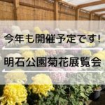 第92回 明石公園菊花展覧会