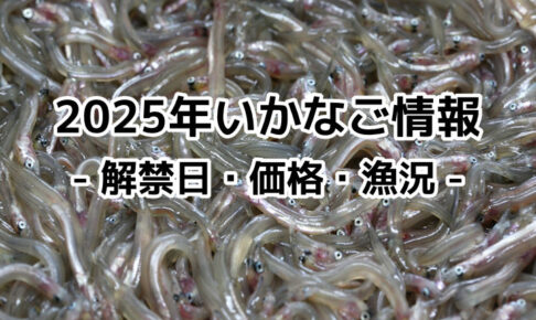 2025年(令和7年)いかなご解禁日は？価格・イカナゴ漁況予報！今年のシンコ漁状況