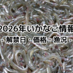 2026年(令和8年)いかなご解禁日は?価格・イカナゴ漁況予報!今年のシンコ漁状況